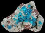 Vibrant Blue Cavansite Clusters on Stilbite - India #64801-1